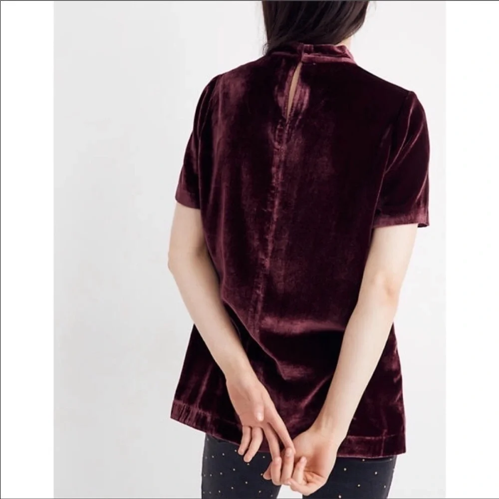 Madewell Choker Velvet Short Sleeve Top_3